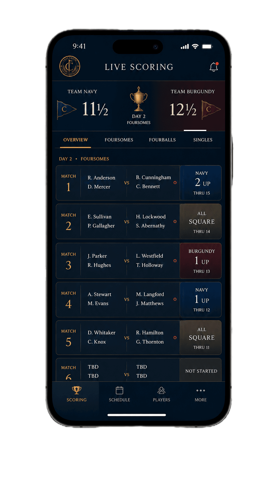 Live scoring app screen showing match status and leaderboard